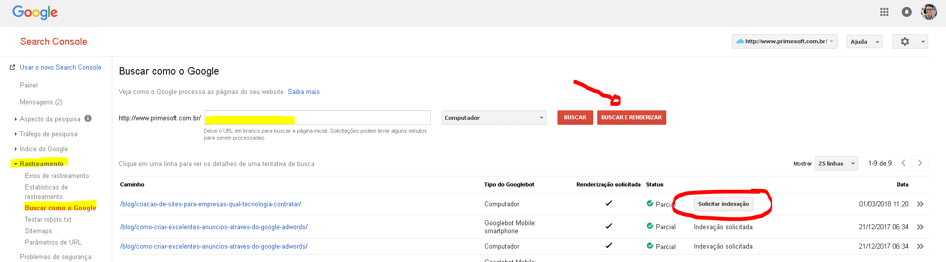 Search Conole Google